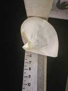 Cuentas de concha de perlas para madre de joyería, diseñador y Tiendas de Cuentas - Product Image 2