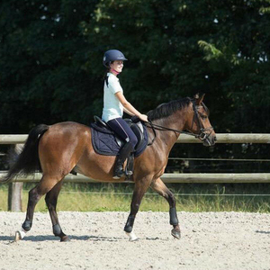 2025 Customization Wholesale Low Price Foam <b>Dressage</b> Pad Saddle Factory Price OEM Saddal Pad - Product Image 5