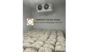 Lemongrass fresco congelado de Vietnam disponible a granel para los importadores que buscan la mejor calidad y el suministro constante - Product Image 5