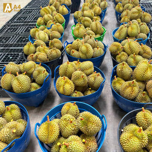 Le meilleur Durian frais de Monthong, entier et pur - Product Image 3