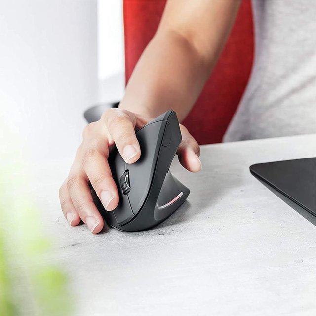MOUSE VERTICAL