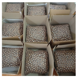 Noix de macadamia dorées rôties en coquille saveur naturelle de qualité supérieure emballage en vrac de qualité ferme collation saine à l'exportation - Product Image 1