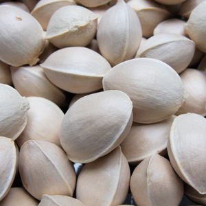 Venta al por mayor de fábrica: Nueces de Ginkgo marca Fulitang, 1 kg, frescas y secas, 24 meses de duración, a la venta. - Product Image 6