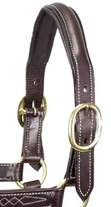 Cabestro de Cuero de Alta Calidad para Caballo, Hebillas de Acero Inoxidable y Latón, Costuras Blancas, Cómodo, Duradero, Diseño Moderno - Product Image 5