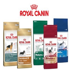 Precio de fábrica Royal Canin al por mayor, paquete de 20 kg de alimento seco para perros |   Suministro al por Mayor de Alimentos para Perros y Gatos Royal Canin a Precios Económicos - Product Image 2