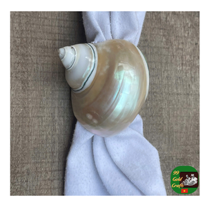 เปลือกหอยเชลล์ตกแต่งแบบเทอร์โบเปลือกหอยเทอร์โบสีเขียว: หอยสังข์ธรรมชาติอันศักดิ์สิทธิ์สำหรับตกแต่งวาสตูเปลือกหอยหอยสังข์ธรรมชาติ - Product Image 3