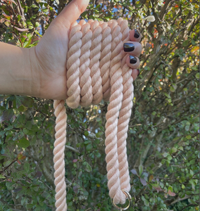 Aluminium Alloy Buckle. Luxury Puppy <b>Leash</b>. Pup. Pooch. DoggyLeash - Ombre <b>Dog</b> <b>Leash</b> - <b>Dog</b> Lead - Product Image 3