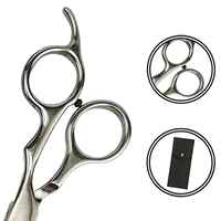 HEXA CARE 2 ans de garantie Ciseaux de coiffure professionnels à bord droit Ciseaux de coiffure à lame en acier inoxydable