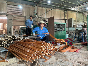 Balais en bois d'eucalyptus enduits de PVC résistant à l'humidité de 120cm avec tête en plastique fabriqué au Vietnam - Product Image 5