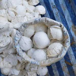 Goma Natural en Trozos, Grado General, Color Blanco - Product Image 2