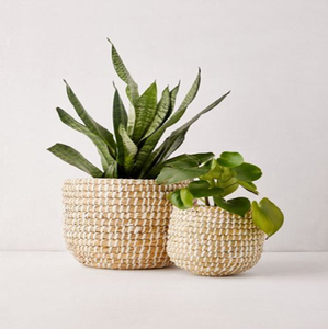 Panier végétal tissé naturel/Jardinière panier naturel Dia en gros - Product Image 1