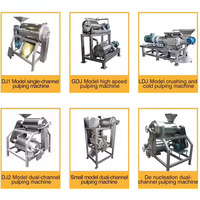Roestvrijstalen Fruitpuree Groentepulp Makende Machine Mangopulper Tomatenpuree Verwerking Appelmoes Jam Maken Machine