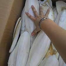 Suplemento de calcio de calidad limpia para aves - Product Image 2