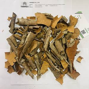 เปลือกต้นแคสเซียเวียดนามแบบสด/Kaneelboom/ Cinnamonum-มาตรฐานส่งออก - Product Image 4