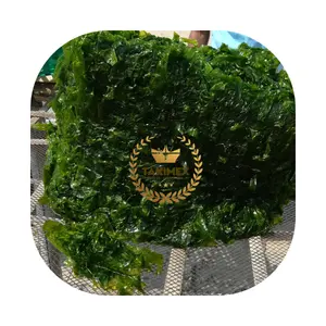 مصنع تاكيميكس الفيتنامي الأعشاب البحرية-الأعشاب البحرية الخضراء ULVA-ULVA LACTUCA الأعشاب البحرية مع معايير التصدير العالية