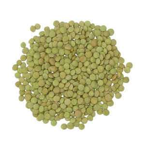 ถั่วฝักยาวสีแดงออร์แกนิคผ่าเขียว - Product Image 3