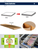 Machine à plastifier le carton Changteng pour l'emballage de papier imprimé et de carton ondulé