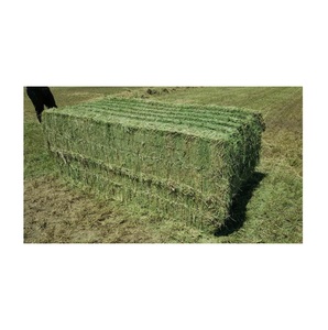 Heno de Alfalfa, Alta Calidad, Cosecha Fresca - Product Image 5