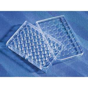 Corning CellBIND 48-Well Multiwell Plate Clear Flat Bottom <b>Laboratory</b> <b>Bottles</b> with Sterile Lid - Product Image 1