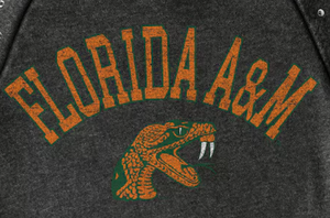 Jersey y Sudadera con capucha unisex de primera calidad, ropa personalizada FAMU Florida A & M University para hombres y mujeres, estilos de invierno - Product Image 2