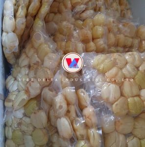 Gelée de palmier Toddy, ingrédient naturel de dessert à base de fruit de palmier pour les boissons, les sucreries et la cuisine asiatique // Mme Lily - Product Image 4