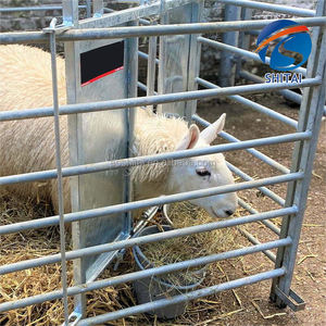Valla de ganado portátil de alta calidad, panel de valla de cabra de Corral soldado antioxidante, obstáculo de ovejas galvanizado de alto zinc <span class=keywords><strong>para</strong></span> granja de ovejas - Product Image 5