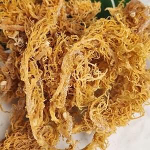 GOLD SEAMOSS MEJOR PRODUCTO PURO Y NATURAL EXPORTACIÓN - Product Image 3