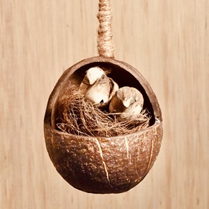 ไก่นกนกแก้วป้อนจากกะลามะพร้าว100% วัสดุธรรมชาติเป็นมิตรกับสิ่งแวดล้อมสำหรับสวน - Product Image 3