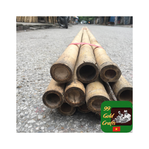 Fabricant de poteaux en bambou naturel du Vietnam, poteaux en bambou en vrac pour l'exportation avec des offres attrayantes et un support fiable pour les grosses commandes - Product Image 3