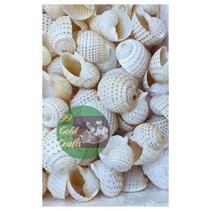 CONCHA SEASHELL SERVILLETAS VAJILLA ACCESORIOS DECORACIÓN PARA RESTAURANTE SERVILLETA EN CASA 99 DATOS DE ORO - Product Image 2