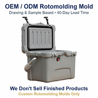 Moule de rotomoulage personnalisé OEM ODM pour glacières grises avec poignée, vanne de pression, fabrication directe usine