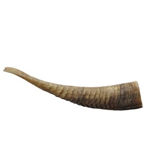 Tự Nhiên Dê Sừng Con Chó Nhai Lâu Dài Cứng Điều Trị Cho Sức Khỏe Răng Răng An Toàn Nhai Và Mạnh Mẽ Răng Cho Tất Cả Các Giống - Product Image 5