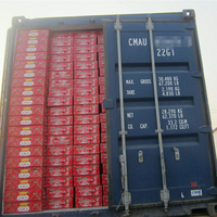 Contenant de pâte de tomate à haute teneur en lycopène disponible de marque privée