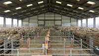Bâtiment en structure métallique préfabriquée de conception moderne de haute qualité, hangar à moutons, hangar agricole avec panneaux