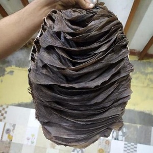 Frozen Beef <b>Omasum</b> First Grade Cleaned Book Tripe Halal <b>Export</b> Quality Bulk Supply - Product Image 1