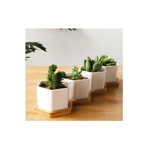 六角形の形と迅速な配達のための小さなレストランの白い色の粘土のためのモダンで豪華なセラミック植木鉢