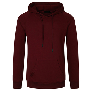 Sweat à capuche anti-bouloches pour hommes avec LOGO personnalisé coupe ajustée sweat-shirt d'hiver chaud en relief 3D XS sweat à capuche vierge de base en tricot non extensible - Product Image 1