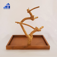 Vente chaude Perchoir en bois de Java pour oiseaux Perchoir de jeu pour perroquets Jouets pour perroquets du fabricant vietnamien en gros