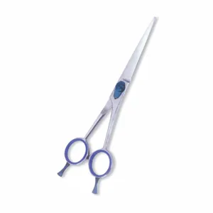 Hairdressing Barber Scissors Professional Cutting Salon Supplies Embroidered Coating Steel Stainless Steel Beauty Instruments