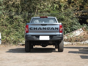 Pick-up Chan gan F70 Blue Whale d'<span class=keywords><strong>occasion</strong></span> en excellent état, 2x4 et 4x4, manuel et automatique, essence - Product Image 4