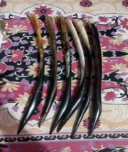 100% Meilleure et luxueuse qualité de chausse-pied en corne de buffle et de boeuf véritable fait à la main avec string en cuir au prix de gros - Product Image 1