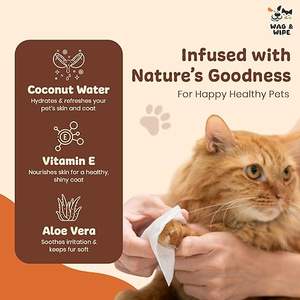 Toallitas Húmedas para Perros y Gatos Wag & Wipe, Toallitas Refrescantes para Mascotas con Aloe Vera y Agua de Coco - Product Image 6
