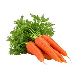 Carotte fraîche douce organique de haute qualité du Vietnam avec haute vitamine pour le marché de gros mondial - Product Image 1