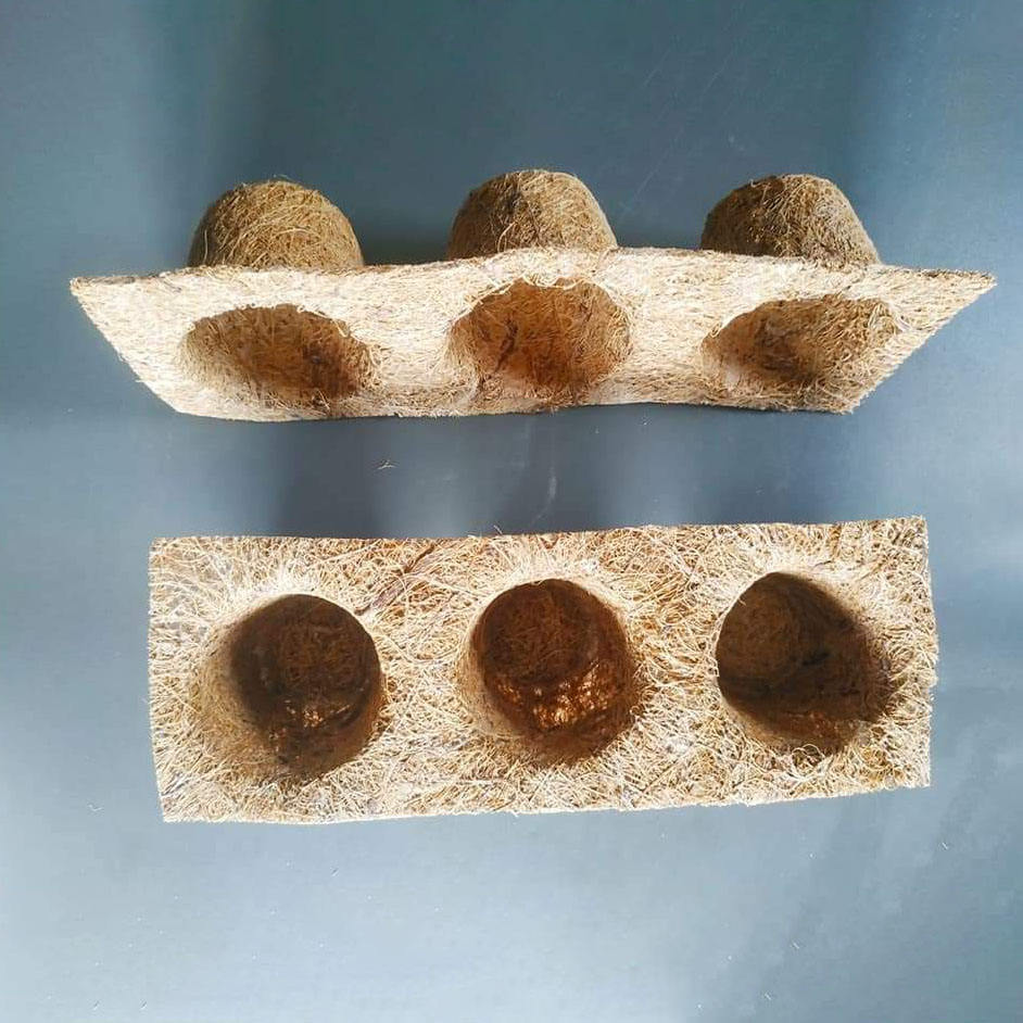 ธรรมชาติ