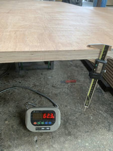 KEGO Vietnam contreplaqué standard de haute qualité 28MM IICL 100% noyau d'eucalyptus 6000N capacité de charge utile pour panneau de revêtement de sol en conteneur - Product Image 4