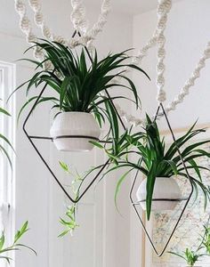 Maceta colgante de metal para balcón, jardín, hogar y uso interior y exterior, maceta perfecta para exhibición de plantas - Product Image 4