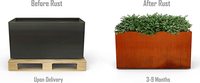 Jardinière en métal en acier Corten, tailles rectangulaires, jardinières modernes en acier