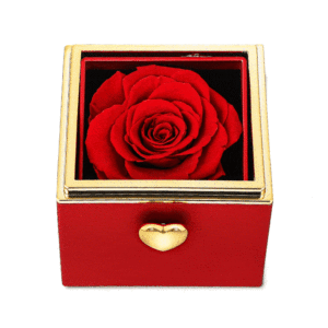 กล่องใส่เครื่องประดับรูปหัวใจหมุนได้ Jeulia สำหรับแหวนและสร้อยคอ - Product Image 1