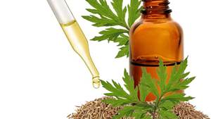 Davana essentialoil ISO Certified <b>oil</b> Wholesale 100%High Quality Davana <b>Essential</b> <b>Oil</b> Manufacturer 100% Pure Natural Davana <b>Oil</b> - Product Image 4