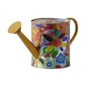 Canette décorative de grande capacité pour la maison et le jardin, bec long, canette d'eau la plus populaire, canette d'eau en métal fini galvanisé - Product Image 6